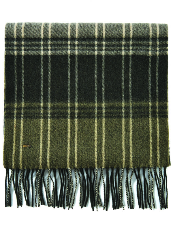 Dubarry Gleneagle Wool Scarf
