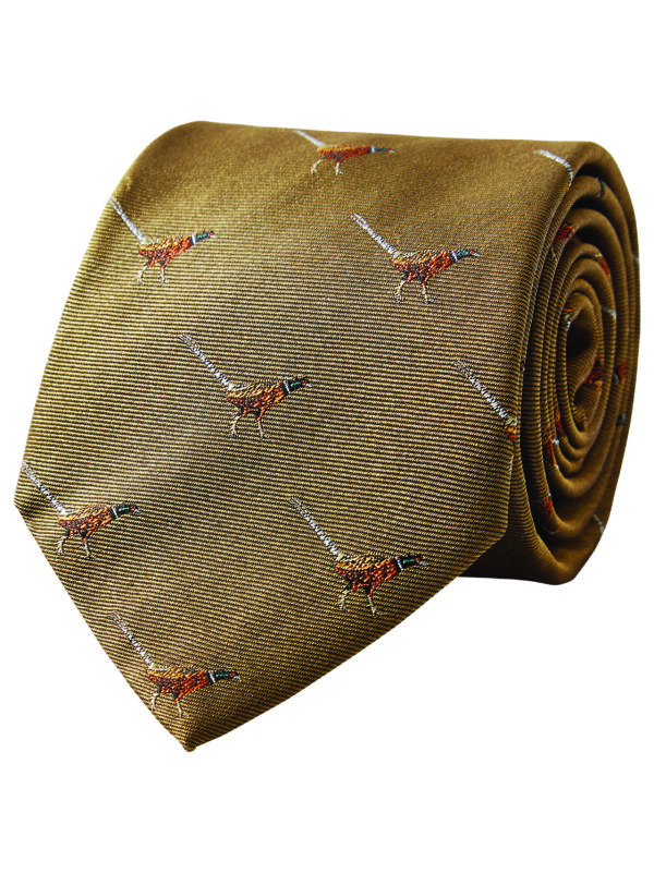 Dubarry Madden Silk Tie